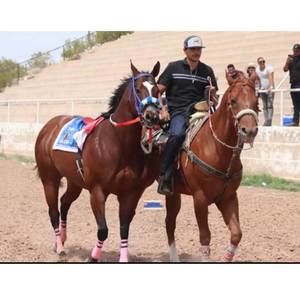 Meet your Posher, Leonel